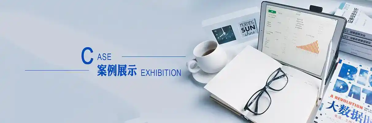 舒兰市软件开发